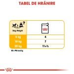 Royal Canin Dermacomfort Adult hrana umeda caine, prevenirea iritatiilor pielii (pate), 85 g 