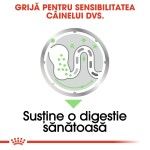 Royal Canin Digestive Care Adult hrana umeda caine, confort digestiv (pate), 85 g 