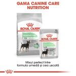 Royal Canin Digestive Care All Sizes, 12 x 85 g - gama