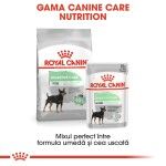 Royal Canin Digestive Care Adult hrana umeda caine, confort digestiv (pate), 85 g 