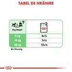 Royal Canin Digestive Care All Sizes, 12 x 85 g - hranire