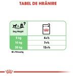 Royal Canin Digestive Care Adult hrana umeda caine, confort digestiv (pate), 85 g 
