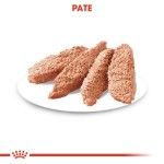 Royal Canin Exigent Adult hrana umeda caine, apetit capricios (pate), 85 g 