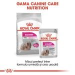 Royal Canin Exigent All Sizes, 12 x 85 g - gama