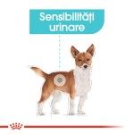 Royal Canin Urinary Care All Sizes, 1 plic x 85 g - talie