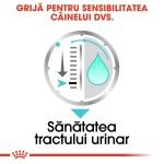 Royal Canin Urinary Care Adult hrana umeda caine, sanatatea tractului urinar (pate), 85 g 