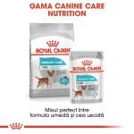 Royal Canin Urinary Care All Sizes, 12 x 85 g - gama