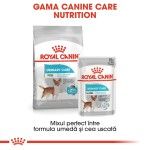 Royal Canin Urinary Care Adult hrana umeda caine, sanatatea tractului urinar (pate), 85 g 