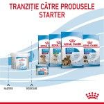 Royal Canin Babydog Milk inlocuitor lapte matern caine, 400 g