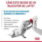 Royal Canin Babydog Milk inlocuitor lapte matern caine, 400 g