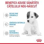 Royal Canin Babydog Milk inlocuitor lapte matern caine, 400 g