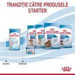 Royal Canin Babydog Milk inlocuitor lapte matern caine, 400 g