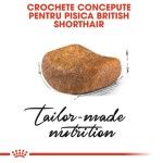 Royal Canin British Shorthair Adult hrana uscata pisica, 400 g 