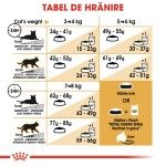 Royal Canin British Shorthair Adult hrana uscata pisica, 2 kg