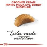 Royal Canin British Shorthair Kitten hrana uscata pisica junior, 400 g 