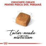 Royal Canin Persian Kitten hrana uscata pisica junior, 400 g 
