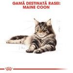 Royal Canin Maine Coon Adult hrana uscata pisica, 10 kg 