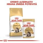 Royal Canin Maine Coon Adult hrana uscata pisica, 4 kg 