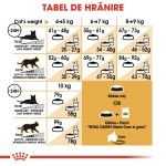Royal Canin Maine Coon Adult hrana uscata pisica, 10 kg 