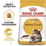 Royal Canin Maine Coon Adult hrana uscata pisica, 4 kg 