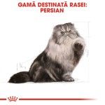 Royal Canin Persian Adult hrana uscata pisica, 10 kg 