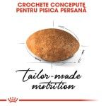 Royal Canin Persian Adult hrana uscata pisica, 400 g 