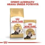 Royal Canin Persian Adult hrana uscata pisica, 10 kg 