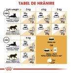 Royal Canin Persian Adult hrana uscata pisica, 10 kg 