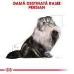 Royal Canin Persian Adult hrana umeda pisica (pate), 12 x 85 g 