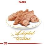 Royal Canin Persian Adult hrana umeda pisica (pate), 12 x 85 g 