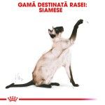 Royal Canin Siamese Adult hrana uscata pisica, 2 kg 