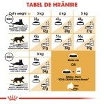 Royal Canin Siamese Adult, 10 kg - tabel
