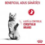 Royal Canin Appetite Control Care Adult hrana uscata pisica sterilizata, reglarea apetitului, 400 gr