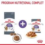 Royal Canin Appetite Control Care Adult hrana uscata pisica sterilizata, reglarea apetitului, 400 gr