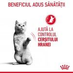 Royal Canin Appetite Control Care, hrana umeda pisici, adult sterilizat, reglarea apetitului, (in sos), 85g x 12