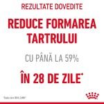 Royal Canin Oral Care Adult hrana uscata pisica, reducerea formarii tartrului, 400 g