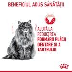 Royal Canin Oral Care Adult hrana uscata pisica, reducerea formarii tartrului, 400 g