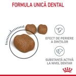 Royal Canin Oral Care Adult hrana uscata pisica, reducerea formarii tartrului, 400 g
