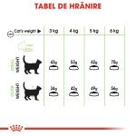Royal Canin Feline Digestive Care - hranire