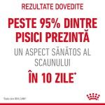Royal Canin Digestive Care Adult hrana uscata pisica, confort digestiv, 10 kg 
