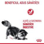 Royal Canin Digestive Care Adult hrana uscata pisica, confort digestiv, 10 kg 