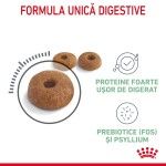 Royal Canin Digestive Care Adult hrana uscata pisica, confort digestiv, 400 g 