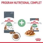 Royal Canin Digestive Care Adult hrana uscata pisica, confort digestiv, 10 kg 