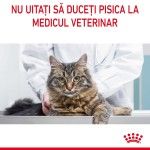 Royal Canin Digestive Care Adult hrana uscata pisica, confort digestiv, 10 kg 