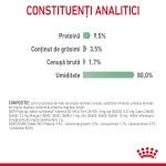Royal Canin Digest Sensitive Care Adult hrana umeda pisica, confort digestiv (in sos), 12 x 85 g 