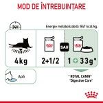 Royal Canin Digest Sensitive Care Adult hrana umeda pisica, confort digestiv (in sos), 12 x 85 g 