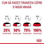 Royal Canin Digest Sensitive Care Adult hrana umeda pisica, confort digestiv (in sos), 12 x 85 g 