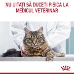 Royal Canin Digest Sensitive Care Adult hrana umeda pisica, confort digestiv (in sos), 85 g