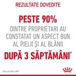 Royal Canin Hair&Skin Care Adult hrana uscata pisica, piele si blana, 10 kg 