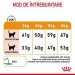 Royal Canin Hair&Skin Care Adult hrana uscata pisica, piele si blana, 10 kg 